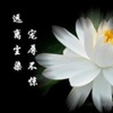 江亲莲