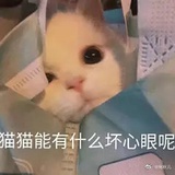 太累了