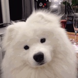 飞天小女警
