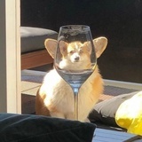 呜啦啦啦