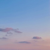 昵称