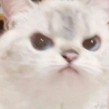 乘舟向山行