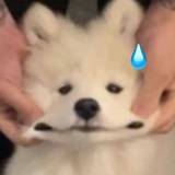 xx