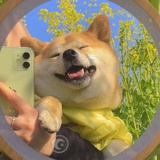 阿卡