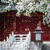 繁花