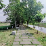 平常心