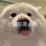 熬夜招财猫^_^