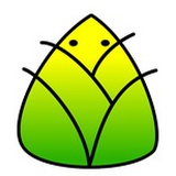 小笋子