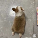 啊纱纱