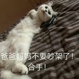 在吗