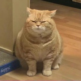 沈知允