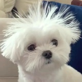 。。。