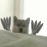 有一点点