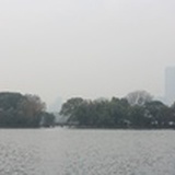 锅里跳出一只羊