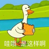 一鸭一鸭悠