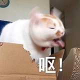 已注消