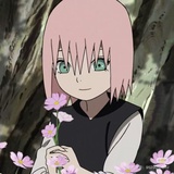 蓮