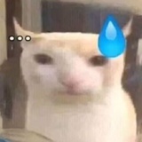 鱼敢