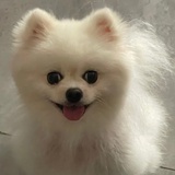 在睡觉