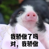 许你漫天繁星