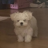 真令人无语