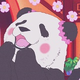 爸比的小熊猫