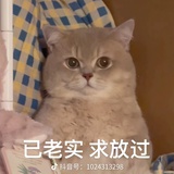 多多益善