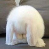 。。。