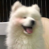 慕君颜