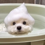 差不多得了