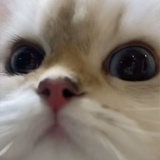 余晖