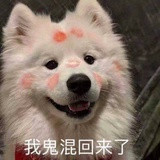 想吃毛毛的毛毛