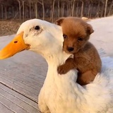 输不完的液