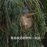 不吃早饭会变笨