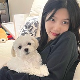 金牌小蛋糕派送