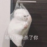 撸猫学博士后