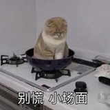 星野崽