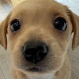 你真不会说话吗