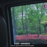 奈奈酱