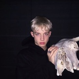 亂