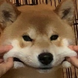 🍅炒鸡蛋