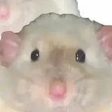 老干妈班戟