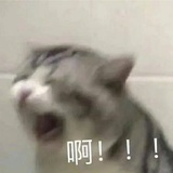 达咩达咩