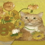 胖猫萌哒哒