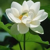宝宝呀宝宝