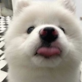 芋泥麻薯