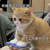 孤独的根号叁