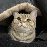 黄塘低智商中年