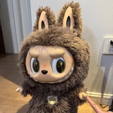 是zimomo