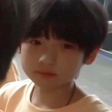 tf家族-安炳雄